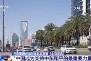 国际人士：中国成为支持中东和平的最重要力量之一