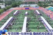 专项招聘+社保补贴 各地多举措稳岗拓岗促就业