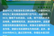 岩溶碳汇——大自然的绿色存钱罐