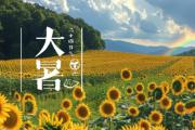 点睛节气丨AI绘大暑