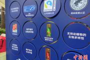 “碳”循嘉年华多种形式带上海民众体验低碳乐趣