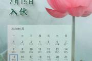 节令之美｜今年“三伏”又是40天，已连续10年如此