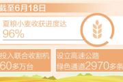夏粮小麦收获进度达96%