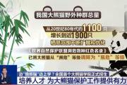 边“撸熊猫”边上学？全国首个大熊猫学院正式招生啦