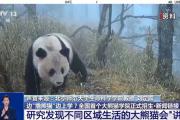 边“撸熊猫”边上学？全国首个大熊猫学院正式招生啦