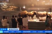 暑期“博物馆热”升温：多家博物馆开启“夜间模式” 扮靓夏日文旅生活