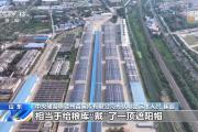 “戴”上遮阳帽、云端看“体温” 粮仓里的度夏装备上新了