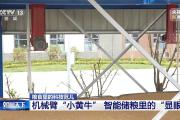 “戴”上遮阳帽、云端看“体温” 粮仓里的度夏装备上新了