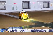 “戴”上遮阳帽、云端看“体温” 粮仓里的度夏装备上新了