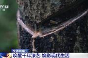 文化中国行丨古老的漆艺如何更好地融入现代生活？