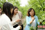 这位“红枣公主”让南疆大地“花开果硕”