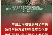 从“大运河”到“北京中轴线”，这些“世界遗产”来自中国