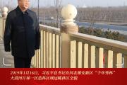 改革近镜头｜“未来之城”，拔节生长
