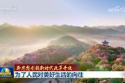 【新思想引领新时代改革开放】为了人民对美好生活的向往