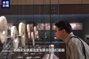 伟大的历史变革丨新时代文化使命