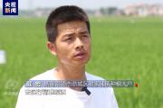 伟大的历史变革丨强农富民美乡村