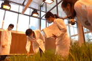 锚定现代化 改革再深化｜种子有“芯片” 中原农谷打造种业创新高地