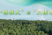 改革故事|从“一木独大”到“三绿并举”