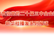 学习贯彻党的二十届三中全会精神，新华社播发系列报道