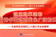 学习贯彻党的二十届三中全会精神，新华社播发系列报道