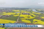 1.3万亿斤、3000亿元、165项任务……数据中读懂中国经济的“质”与“量”