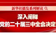 新华社播发系列解读，深入阐释党的二十届三中全会决定
