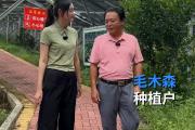 湾区三分钟丨“甜蜜”丰收！看大湾区“披绿生金”有何诀窍？