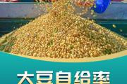 权威数读丨2995.6亿斤 夏粮产量再创历史新高