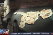赏文物、看标本、学知识……暑期游“文化味”浓郁撬动消费新场景